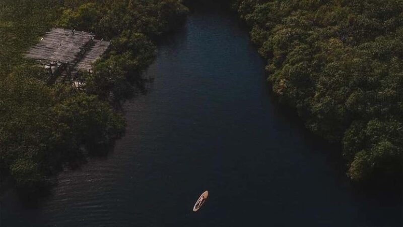 Tulum: Pargo Restaurant Cenote Dining Experience - A Detailed Look at the Cenote Dining Experience
