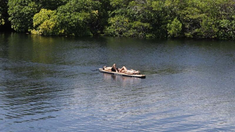 Tulum: Pargo Restaurant Cenote Dining Experience - The Value of This Experience