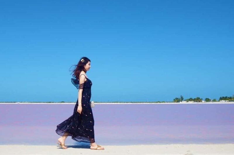 Tulum: Pink Lake, Rio Lagartos, Crocodile Flamingo Adventure - Key Points