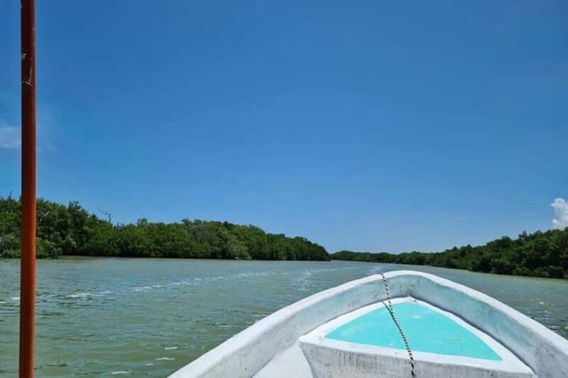 Tulum: Pink Lake, Rio Lagartos, Crocodile Flamingo Adventure - Who Should Consider This Tour?