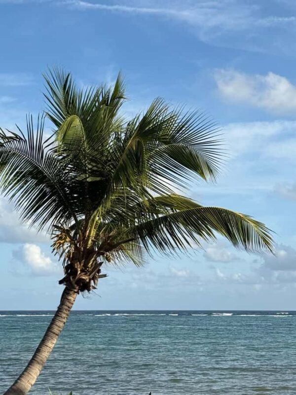 Tulum: Private Beach Photo and Video Session - Who Should Consider This Tour?