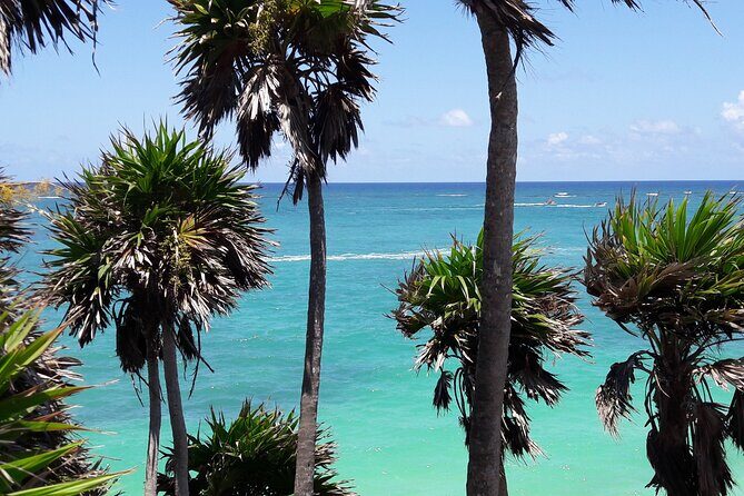 Tulum Private Boat Tour & Turtle Snorkeling Experience - FAQs