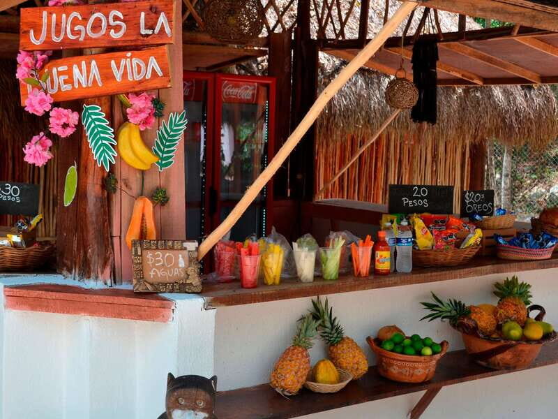 Tulum: Raw Honey & Chocolate Tour with Vegan Lunch & Cenote - Tulum: Raw Honey & Chocolate Tour with Vegan Lunch & Cenote