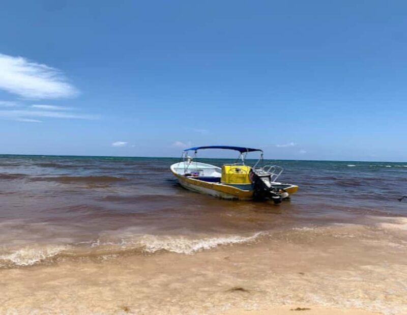 Tulum: Reef Snorkel Tour - Analyzing the Value