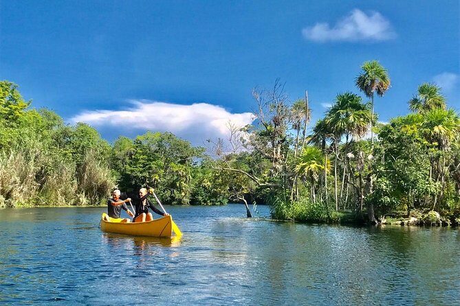 Tulum Ruins and 3 Cenotes - Jungle Adventure - The Experience: What You Can Expect