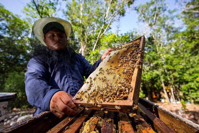 Tulum Ruins and 3 Cenotes - Jungle Adventure - FAQ