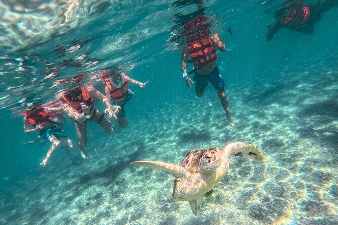 Tulum Ruins, Sea Turtles & Cenote Snorkeling Adventure Tour - Exploring the Itinerary in Detail