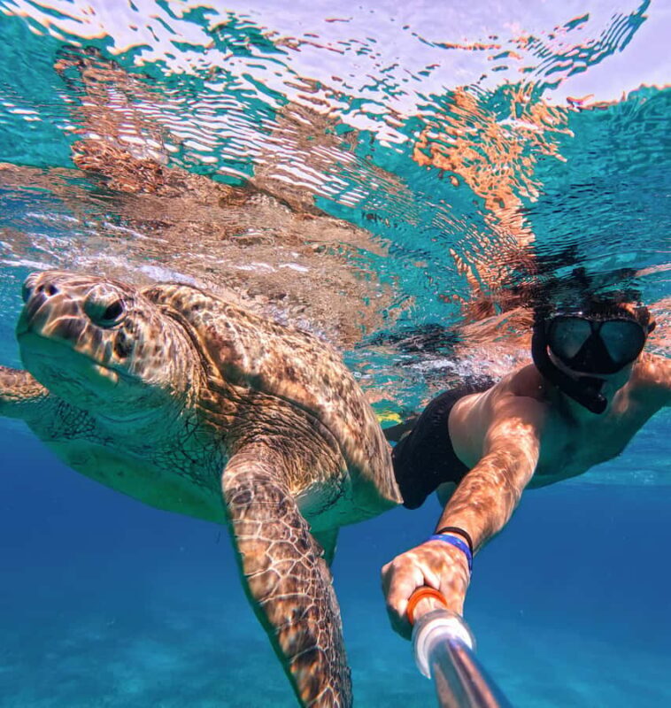 Tulum ruins, snorkel at the reef, and cenote - Key Points