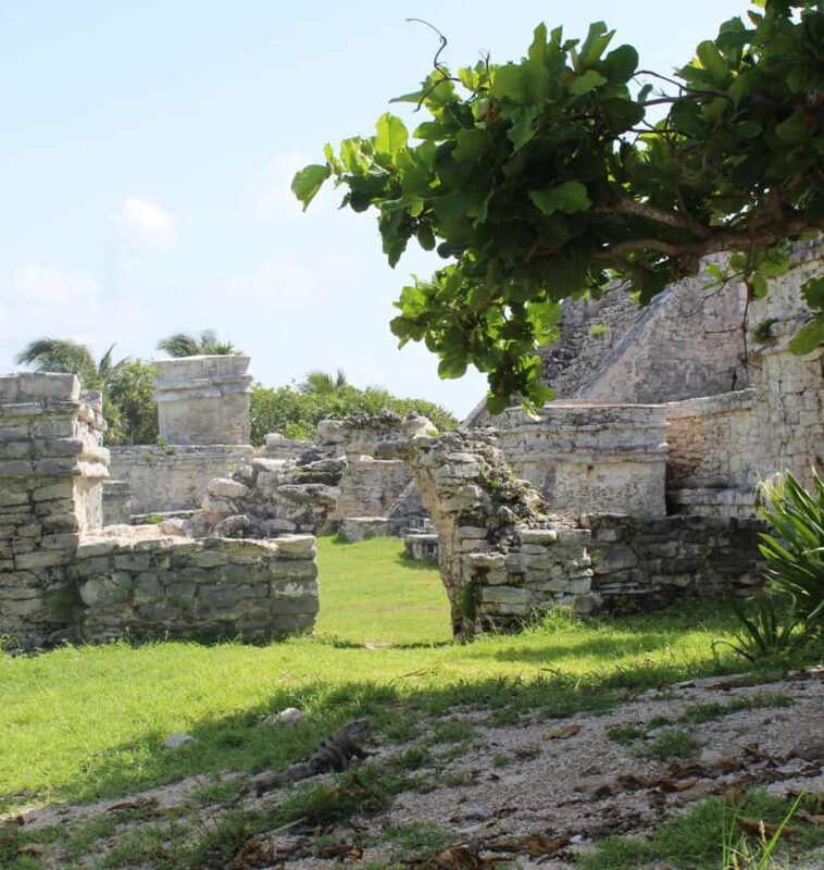 Tulum ruins, snorkel at the reef, and cenote - Exploring the Tulum Ruins: A Step Back in Time
