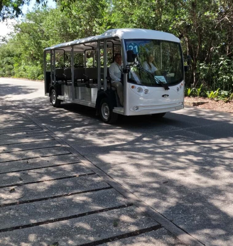 Tulum ruins, snorkel at the reef, and cenote - Why This Tour Is Worth It