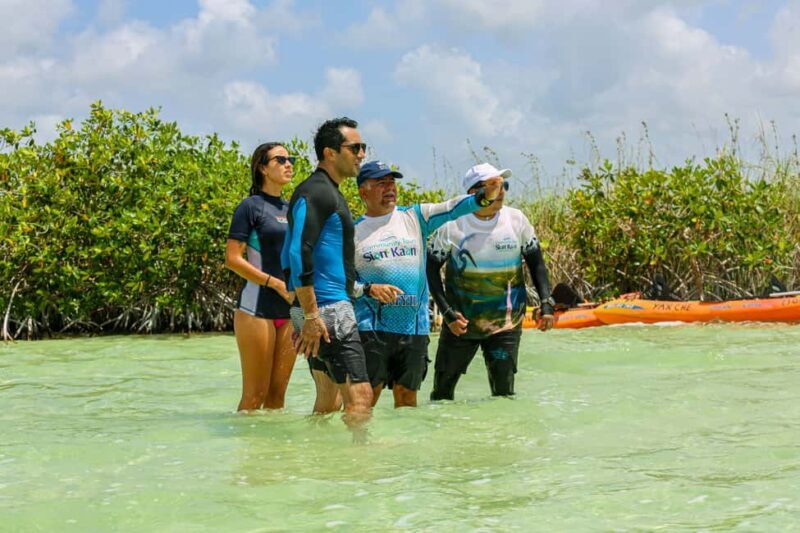 Tulum: Sian Ka'an Biosphere Reserve Kayak Tour - Key Points