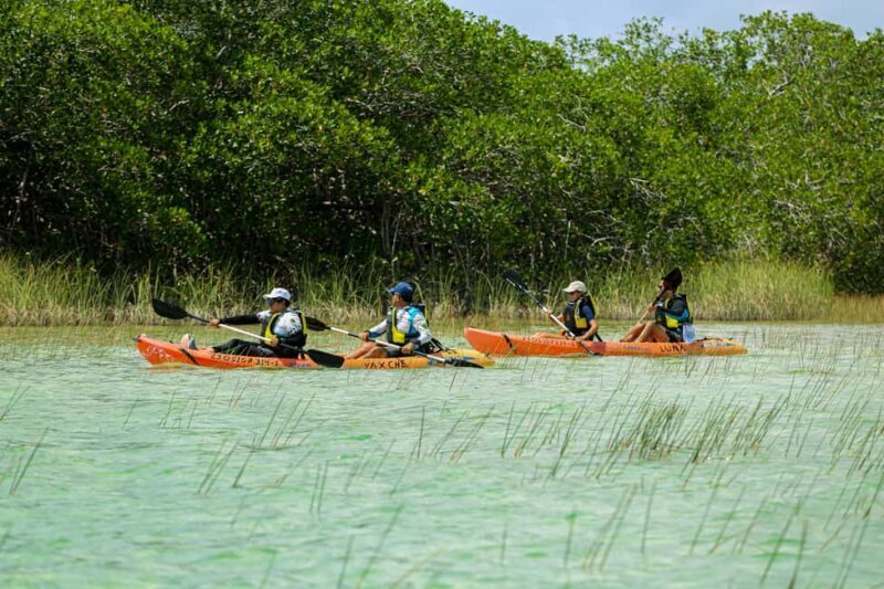 Tulum: Sian Ka'an Biosphere Reserve Kayak Tour - Analyzing the Value