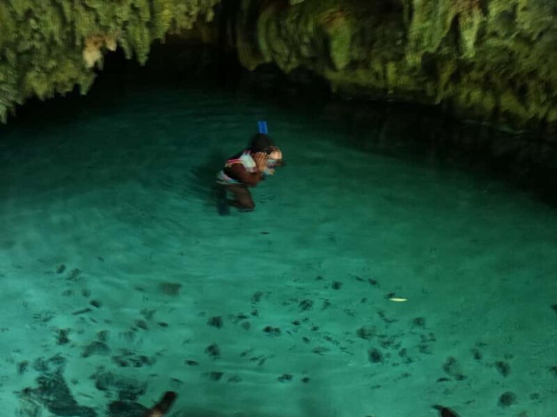 Tulum: Snorkel at the Cenotes and Underground Rivers - A Detailed Look at the Experience