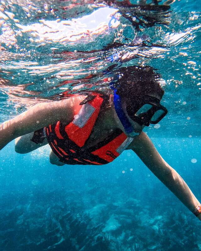 Tulum: Snorkeling at Paradise Reef - An In-Depth Look at the Snorkeling Experience in Tulum