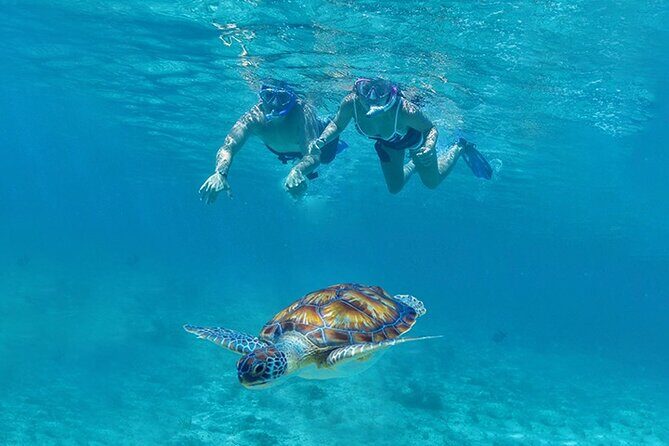 Tulum, Snorkeling with Sea Turtles, Cenote and Beachside Lunch - A Detailed Look at the Tour Experience