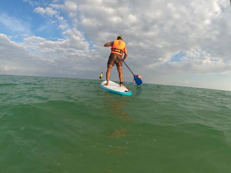 Tulum Stand-Up Paddleboard Tour - In-Depth Breakdown of the Tour