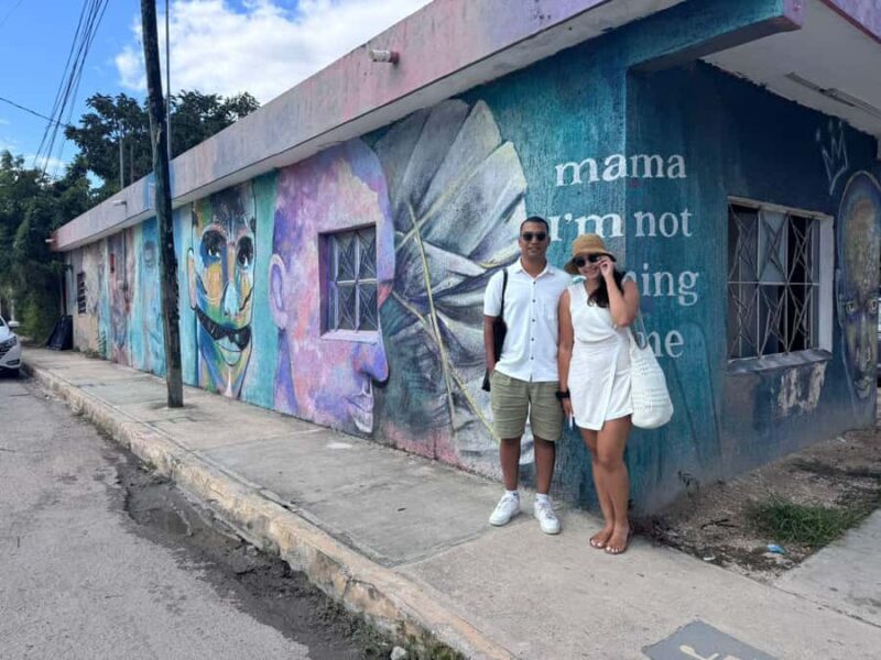 Tulum: Street Art and Gallery Tour - Key Points
