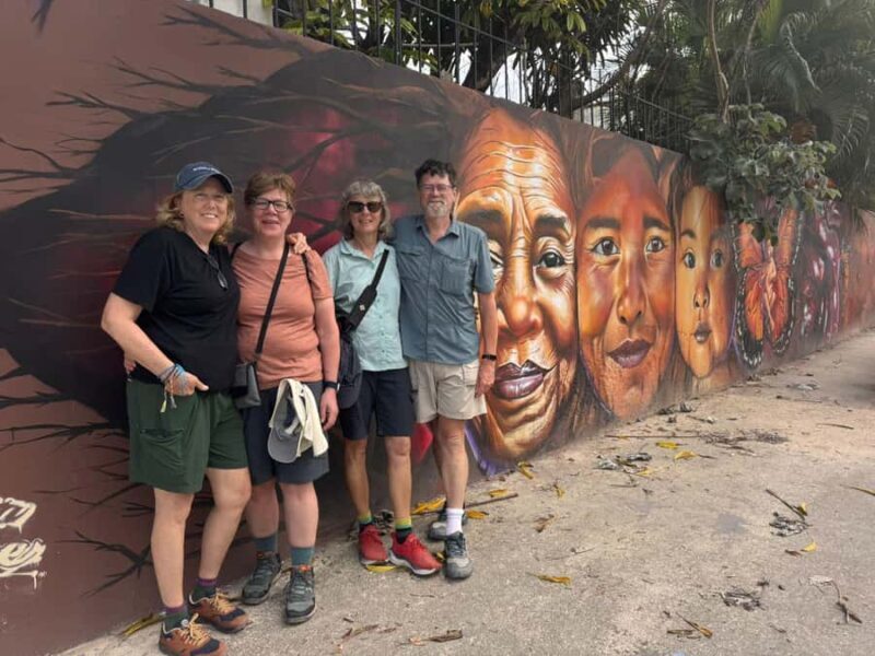 Tulum: Street Art and Gallery Tour - The Practicalities: What You Need to Know