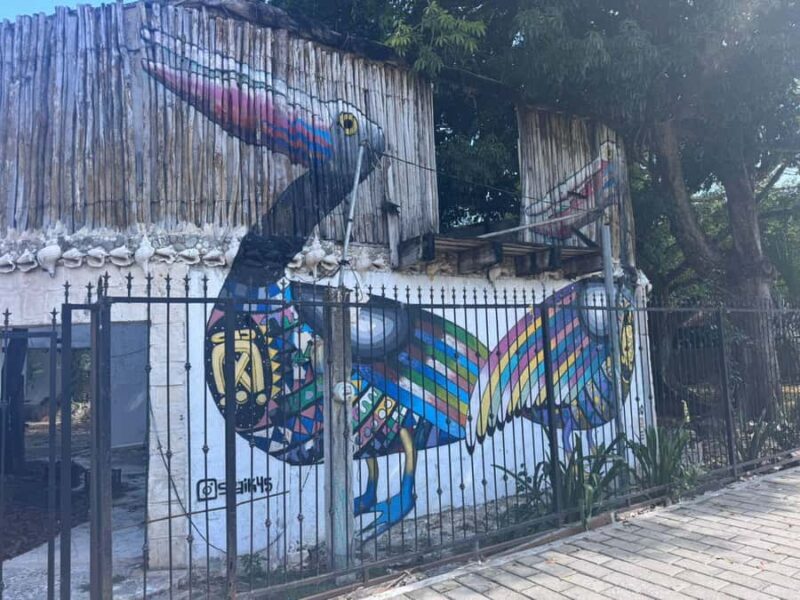 Tulum: Street Art and Gallery Tour - Authenticity and Value: What Makes This Tour Stand Out