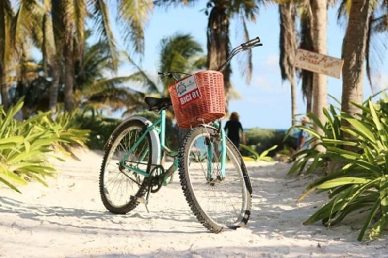 Tulum: Tulum National Park Guided Bike Tour - An In-Depth Look at the Tulum Bike Tour Experience