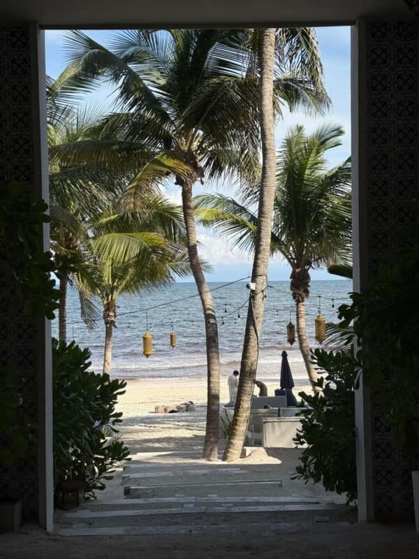 Tulum: Tulum Ruins and Sea Turtle Snorkeling Tour - Key Points