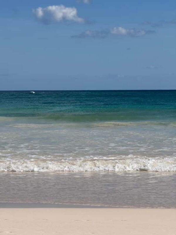 Tulum: Tulum Ruins and Sea Turtle Snorkeling Tour - Exploring the Tulum Ruins: A Walk Through Time