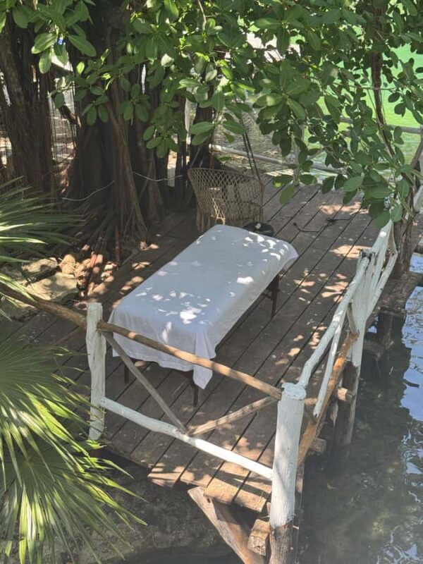 Tulum: Zenote Siente with Gastronomic Package & Transfers - Final Thoughts