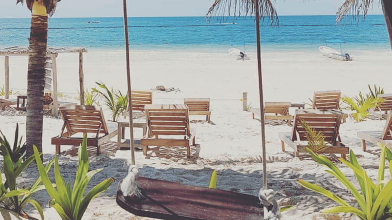 Tulum's Historical Treasures: A Private Walking Tour - Price and Value