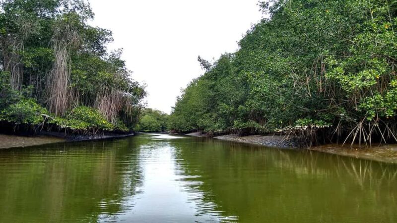 Tumbes: Puerto Pizarro islands and mangroves - What the Tour Includes and Excludes