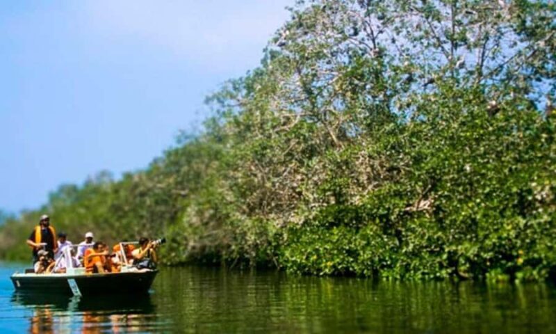 Tumbes: Puerto Pizarro Mangroves and Islands Tour - Tumbes: Puerto Pizarro Mangroves and Islands Tour