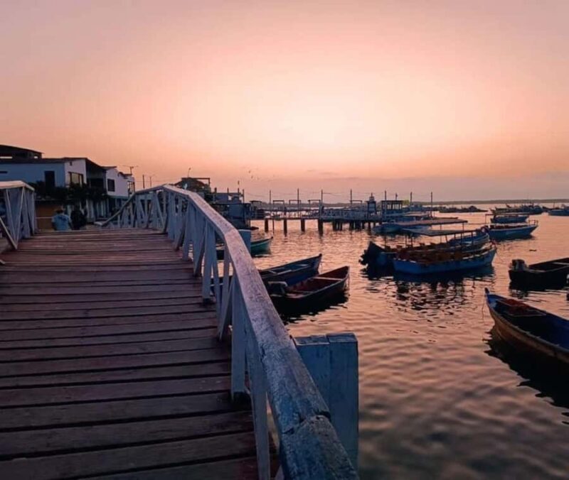 Tumbes: Puerto Pizarro Mangroves and Islands Tour - Key Points