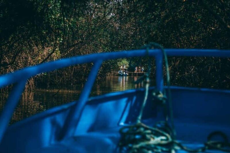 Tumbes: Puerto Pizarro Mangroves and Islands Tour - Final Thoughts