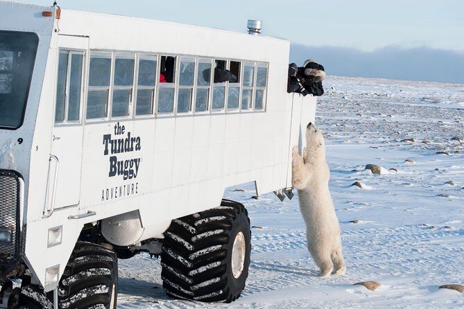 Tundra Buggy Autumn Day Tours - Tundra Buggy Autumn Day Tours: Exploring Churchill’s Polar Wilderness