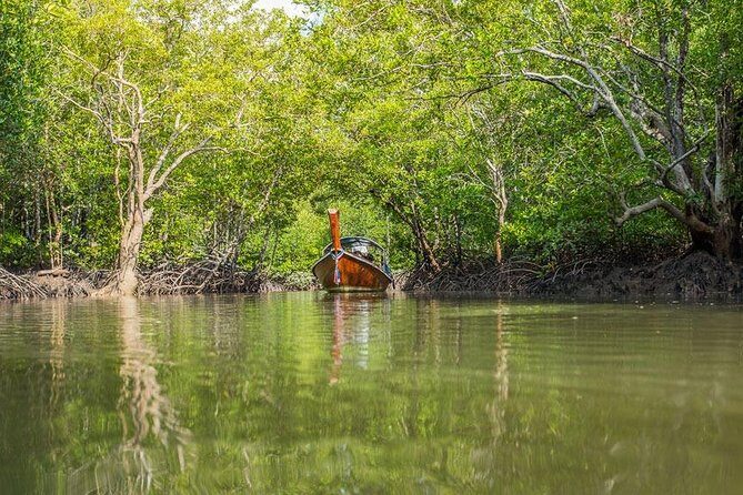 Tung Yee Peng Mangrove Forest Tour By Longtail Boat From Koh Lanta - In-Depth Review: Why Choose or Skip?