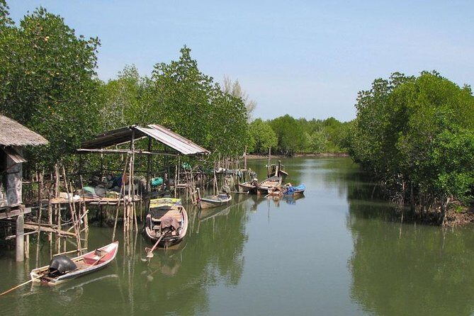 Tung Yee Peng Mangrove Forest Tour By Longtail Boat From Koh Lanta - Practical Tips for Your Mangrove Adventure