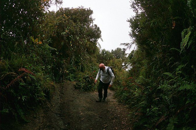 Tungurahua Volcano Refuge, Full Day. - Who Should Consider This Tour?