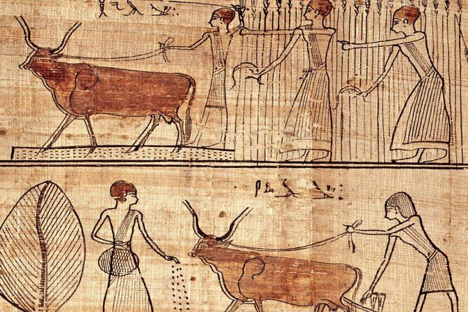 Turin Egyptian Museum Entry Ticket plus Turin Digital Audioguide - Key Points