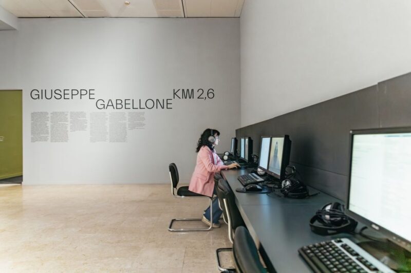 Turin: Gallery of Modern and Contemporary Art Entry Ticket - Key Points