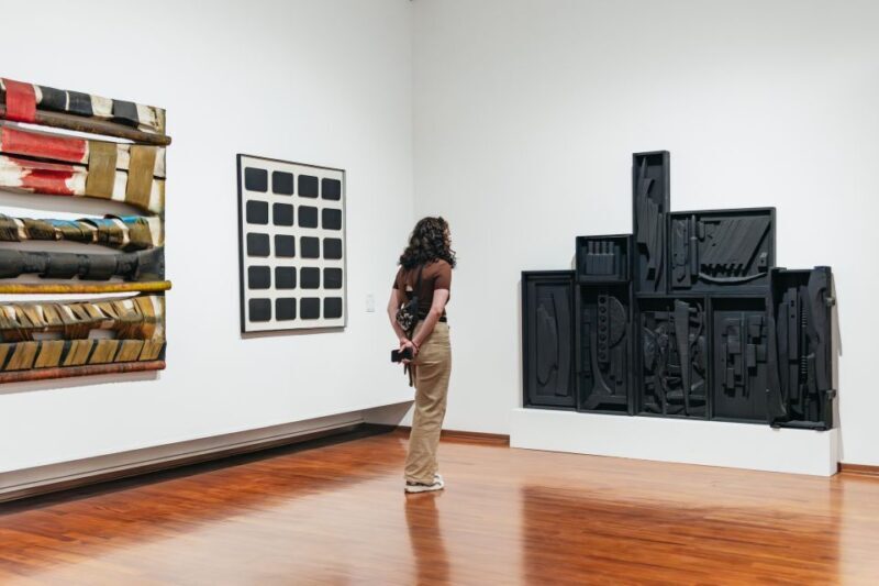 Turin: Gallery of Modern and Contemporary Art Entry Ticket - Who Should Visit This Museum?