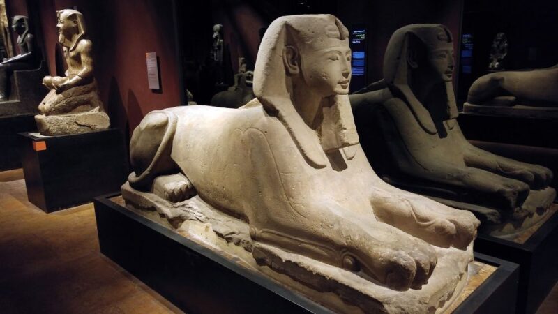 Turin: Guided Egyptian Museum Tour - Why It Works Well for Travelers
