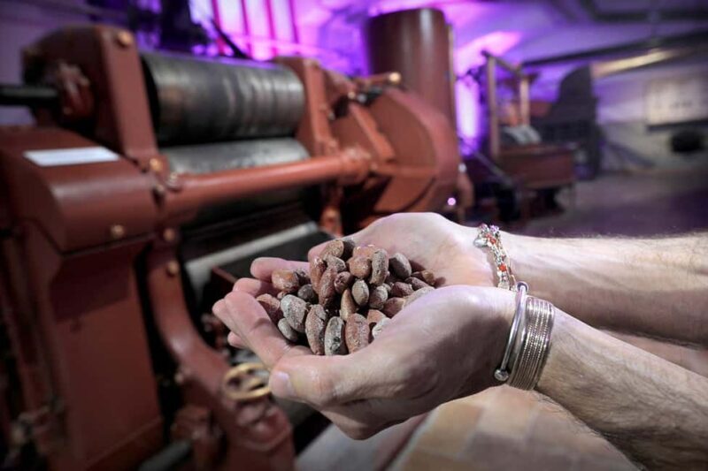 Turin: Visit to the Chocolate and Gianduja Museum, Choco-Story Torino - Final Thoughts: How This Tour Delivers Value