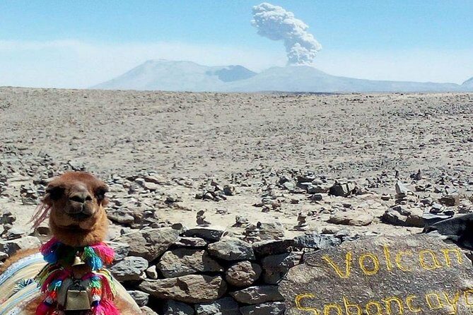 Turist Bus Colca Canyon (Chivay) To Puno - The Sum Up