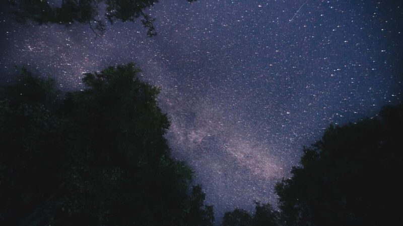 Turku: Gems of the Archipelago Sea 3-Day Kayaking Tour - An Overview of the Finnish Archipelago Sea