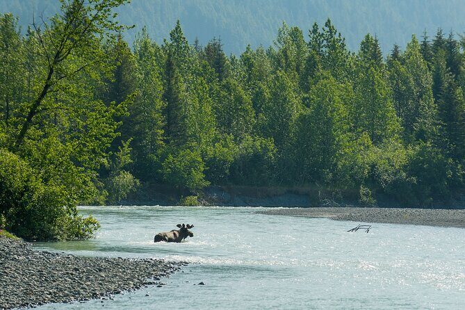 Turnagain Arm Highlights Photo Tour - The Practicalities