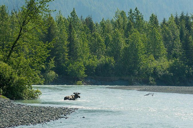 Turnagain Arm Highlights Photo Tour - Is the Price Worth It?