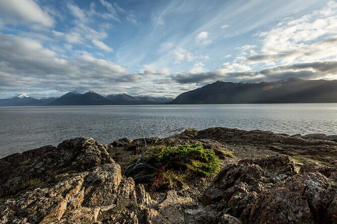 Turnagain Arm Sightseeing Experience and Wildlife Tour - A Deep Dive into the Turnagain Arm Sightseeing and Wildlife Tour