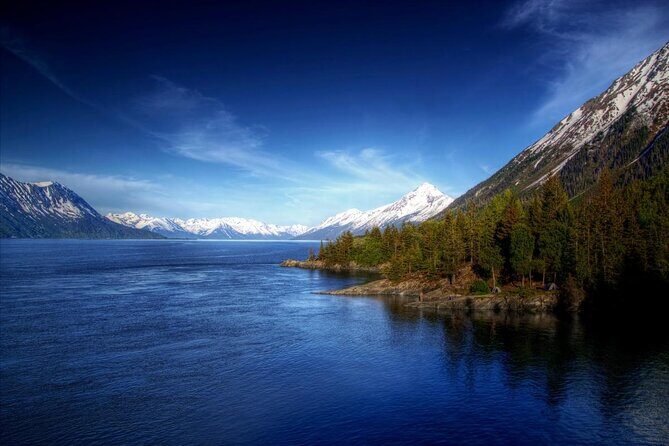 Turnagain Arm Tour - Possible Drawbacks and Considerations