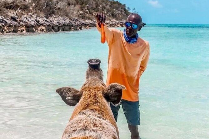 Turquoise Experience -Exuma Cays -Southern Exuma Private Charter - Exploring the Exuma Cays with a Private Charter: A Practical Guide