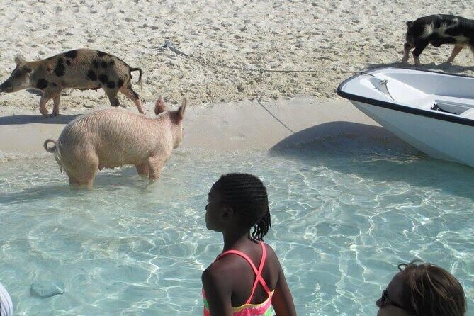 Turquoise Experience -Exuma Cays -Southern Exuma Private Charter - Who Will Love This Tour?