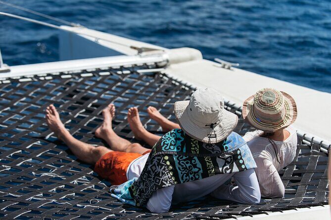 Turtle and Shipwreck adventure on 57 ft catamaran - Who Would Love This Experience?
